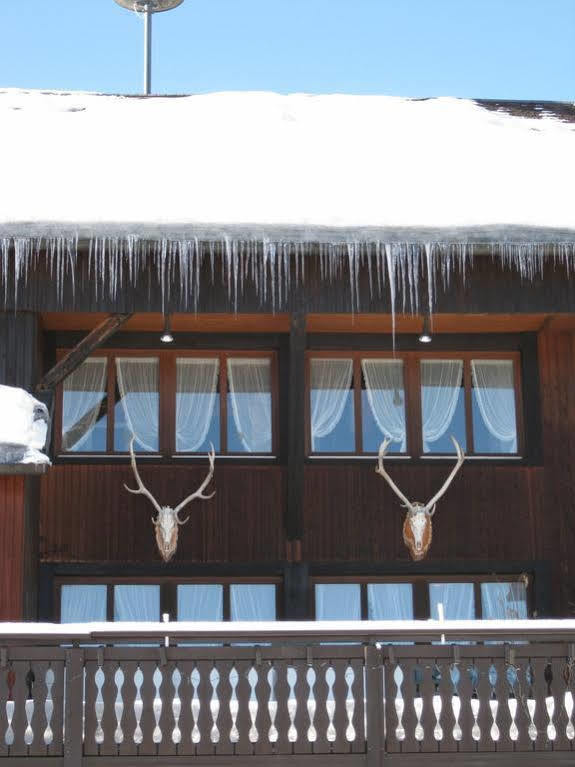 Schwarzwaldgasthof Hotel Hirschen Ibach Eksteriør billede