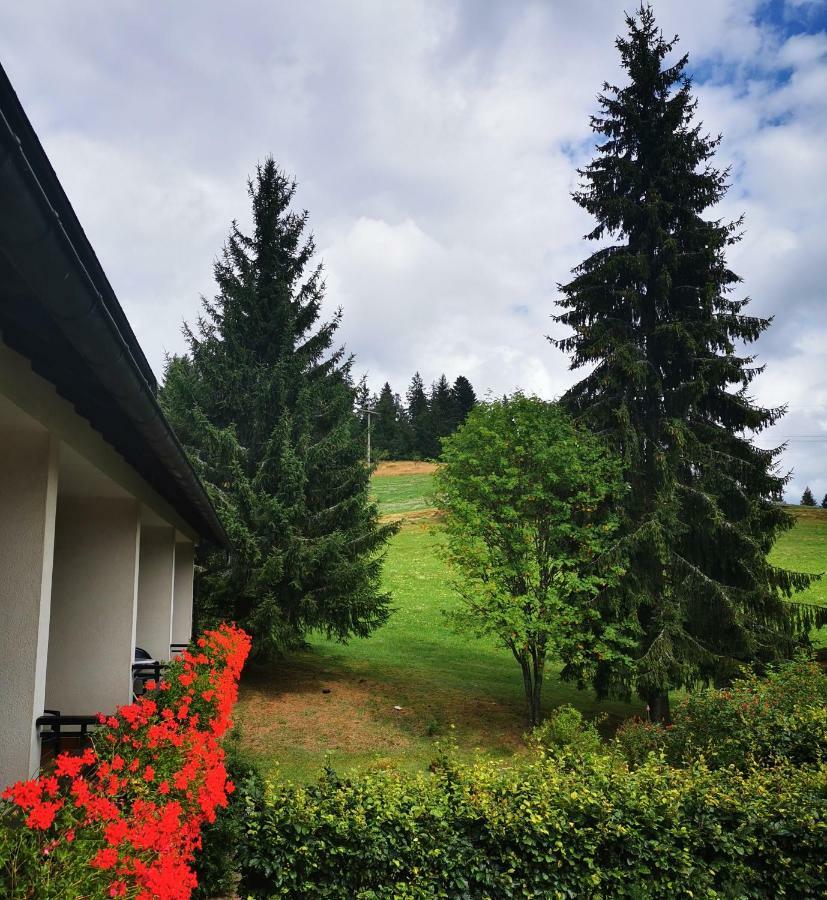 Schwarzwaldgasthof Hotel Hirschen Ibach Eksteriør billede